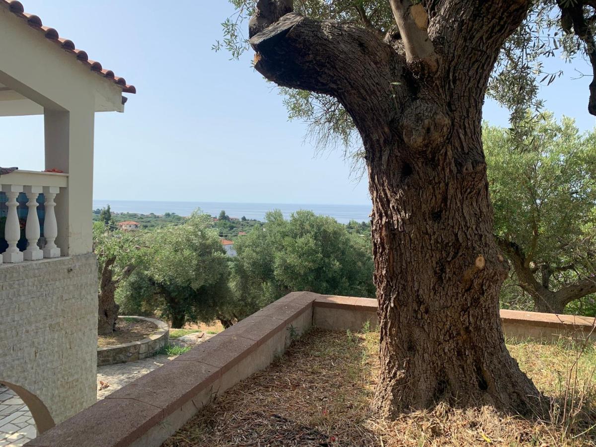 Olive Stone Villa Неа-Скиони Экстерьер фото