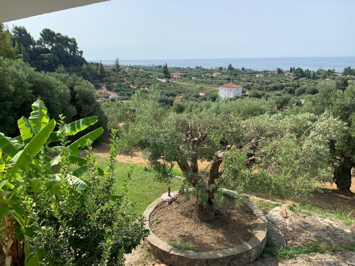 Olive Stone Villa Неа-Скиони Экстерьер фото