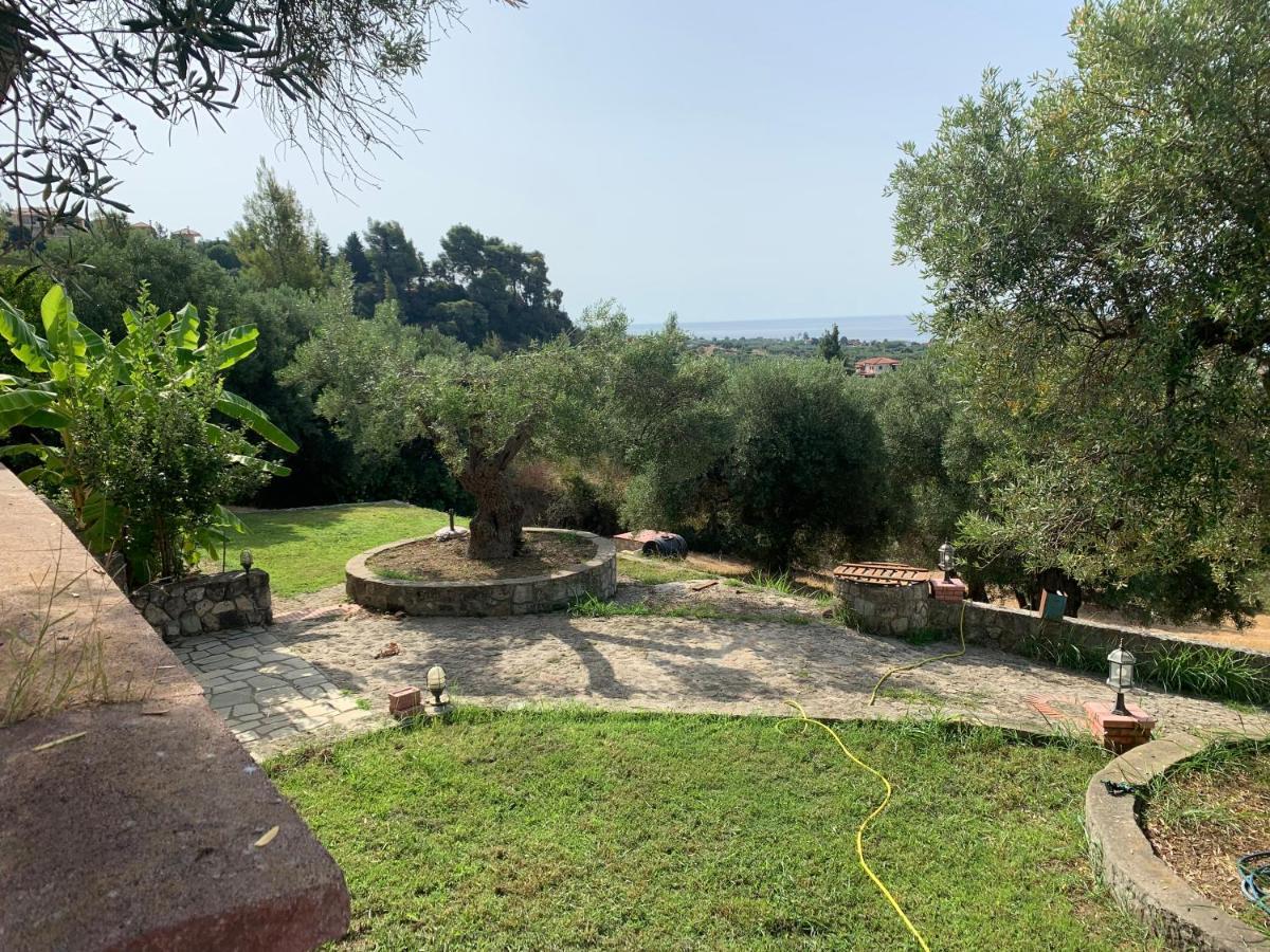 Olive Stone Villa Неа-Скиони Экстерьер фото